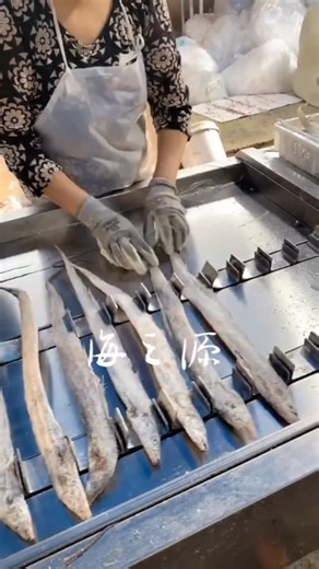 Chunming Zhu on Instagram: "Line fish cutting machine#food #seafood #vegetables #fish #machine"
