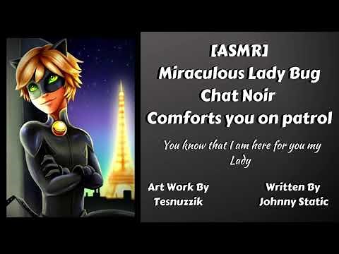 [ASMR] Miraculous Lady Bug Chat Noir Comforts you on patrol