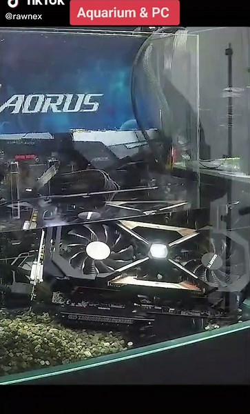 Water Cooled PC Aquarium Setup Ideas