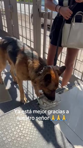 Videos de Christian Allan Hormachea (@chefchristianallan) con “clocks vs viva la vida - G3RM4N”