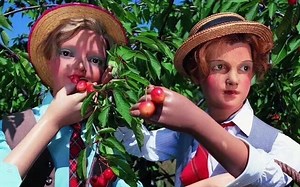 间蜂猴旅行轶事