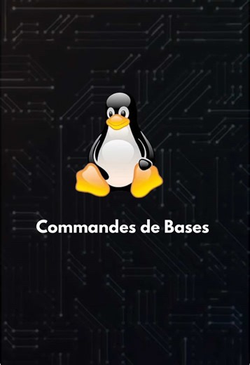 Commandes de bases sur Linux🐧 #linux #cybersecurity #programming #fr #informatique