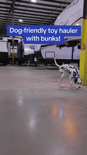 What do you think of Colette’s favorite camper, the 2024 Coachmen Catalina Trail Blazer 27TH?? 🐶 Keep reading for full specs!👇 - Sleeps up to 8 - 34 feet long - 7,471 lbs dry Call the number in our bi0 for pricing or drop your questions in the comments! 🐾🦴 #rvlife #rvliving #camperlife #camperlifestyle #doglife | TerryTown RV Superstore