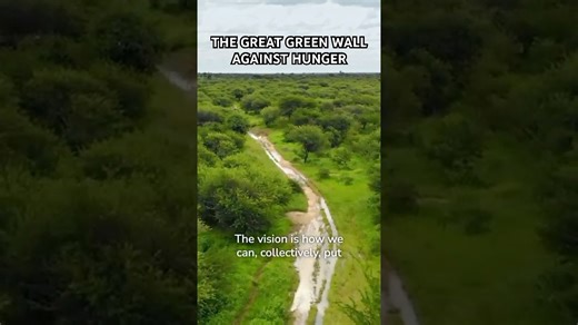 Discover how the Great Green Wall is changing lives