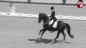 567K views · 4.2K reactions | Wir sind geschockt - Totilas ist verstorben ▶️ watch.clipmyhorse.tv/Totilas-ist-verstorben Ein absolutes Ausnahmepferd des Dressursports ist nun über die Regenbogenbrücke galoppiert  Wir erinnern uns an Gänsehautmomente mit diesem ganz besonderen Pferd ✨ | ClipMyHorse.TV Deutschland | Facebook