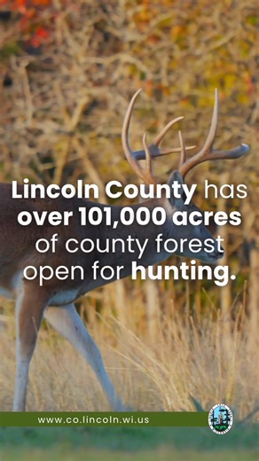 With over 101,000 acres of county forest open for hunting, there’s no better place to enjoy the great outdoors. Take aim, stay safe, and make the most of the season!  https://www.co.lincoln.wi.us/forestry-land-and-parks/page/hunting #LincolnCountyWI #HuntingSeason #WisconsinOutdoors #PublicLands #DeerHunting | Visit Lincoln County Wisconsin | Facebook