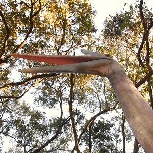 Calling all dino fans! Go on a one-of-a-kind prehistoric adventure this spring at TXU Energy presents Jurassic Giants. | Houston Zoo | Facebook