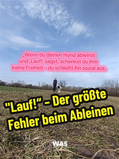 ​Hunde sind hochsoziale Wesen, keine Kinder auf dem Spielplatz. Wenn wir sie aktiv wegschicken, zerstören wir die Bindung. Besonders beim HSH ist das fatal: Du schickst ihn damit direkt in die Eigenverantwortung für das Territorium. Wenn er dann Menschen stellt oder zubeißt, ist das kein Fehlverhalten des Hundes, sondern die logische Folge deiner Abwesenheit als Führungsperson. ​Echte Erziehung ist wie ein gemeinsames Farbenmischen: Wir erkunden die Welt als Team. Eine Leine ist kein Zwang, sond