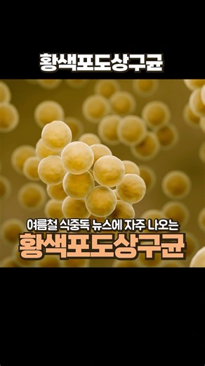 황색포도상구균