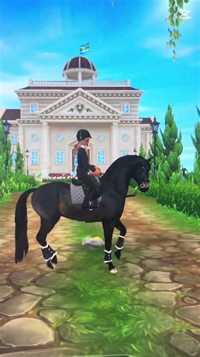 #sso #horses #riding #horsegame #fun #love ☺️🤗🤭😍❤️😃🥰🐴