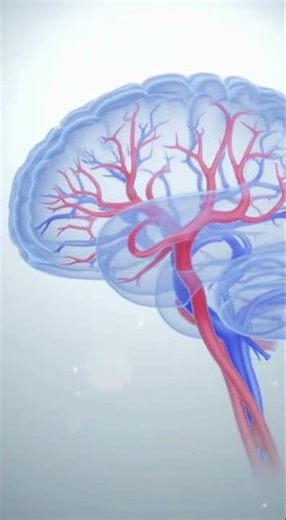 Sudden Dizziness Is a Warning ⚠️