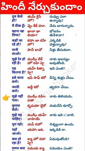 daily use hindi sentences in telugu and English | Spoken Hindi in Telugu pdf 461 | Telugu to Hindi