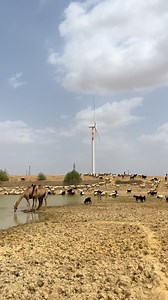 Khamma Ghani Sha With Desert Tour Jaisalmer We Can Arrange All About Jaisalmer Tour Packages. We Can Arrange Like Desert Camping, Thar Jeep Safari, Camel Ride, Hotels & Cars ( Pickup And Drop Service). Contact Number 918302258277 . One Of The Best Luxury Desert Camp And Rajasthani Activities Looked This.Only With Desert Tour Jaisalmer You Never See For Other Camping...If You Want To Jaisalmer Trip Packages Then Please Contact Me. 8302258277...Best Deal In Jaisalmer Traveling With Desert Tour Jai