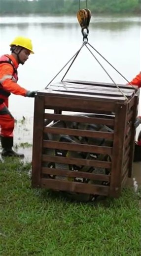 DARURAT! Evakuasi Ular Monster 15 meter Tenggelam dalam Kotak Kayu #shorts