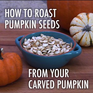 This is a classic (and delicious) use for the seeds from your pumpkin! 🎃 🍂 | Cub Scouts