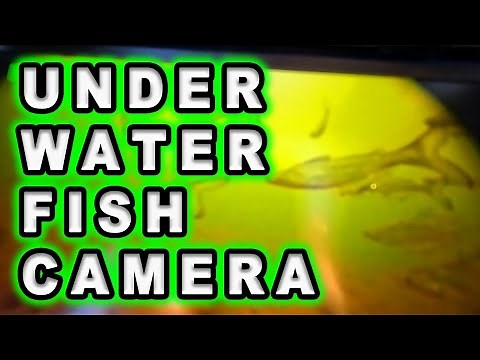 Cheap Amazon Underwater Camera Put to the Ultimate Fish Test