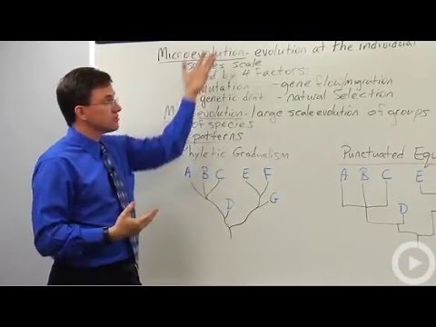 Microevolution - Macroevolution