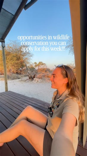 Kate Sheridan on Instagram: "new Monday, new list of opportunities in wildlife conservation which are open this week 🙌 things tend to slow down in December and ramp back up in January so make sure to be following me on all platforms to stay up to date! so exciting people are DM-ing me that they got the jobs I posted since I started this series 🥰 I included all the IG accounts for the organisations so there is your list!! Good luck 🙌🩵 #conservationcareers #wildlifeconservation #conservationis
