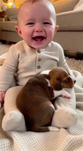 Puppy Chose the Baby as Its Pillow 🥹