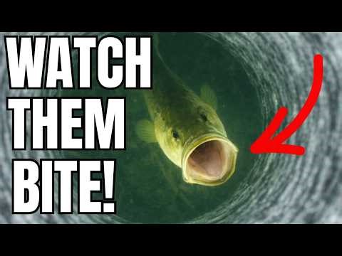 This Ice Fishing Method Feels Like Cheating (But It’s Not!)