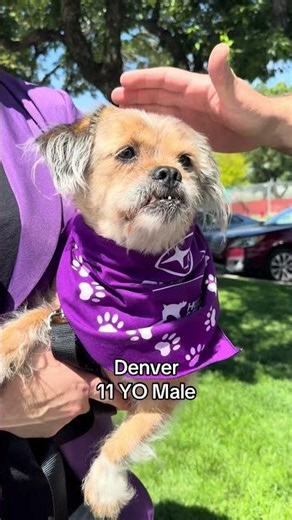 Utah Humane - New to HSU 6/4/26