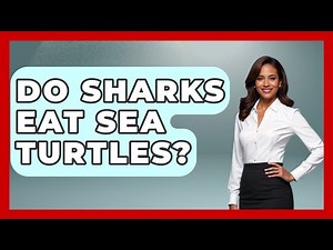 Do Sharks Eat Sea Turtles? - The Marine Life Explorer