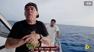 'Shark Week': 'Jackass' star bitten by shark in failed stunt attempt [watch]