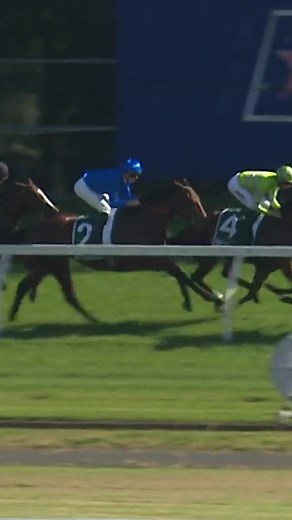 23K views · 825 reactions | How big is she?  Mammoth 2YO filly COMMEMORATIVE looks pretty special!  Sky Racing | World Horse Racing | Facebook