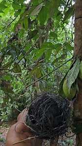 The Scary Forest Man & Village Girls inside Dangerous Jungle l Success Academy #primitive #primitiveskills #primtivelife #PrimitiveLiving #primitivesurvival #primitivetechnology #primitivereflexes #PrimeVideo #forest #forestlife #forestlife #forestlifeskill #jungle #junglelifestyle #junglevibes #jungleskill #foryourpagefb #foryourpageシ #foryourpages #fypシ゚viralシfypシ゚ #fypシ゚viralシ2023fyp #fypシ゚viralシ #fypシ゚ #fypシviral #fypchallenge #viralpage2024 #viralvideofb #virals #viralfb #viralpage #horrorm