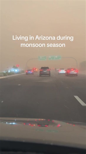 #monsoonseason #arizonacheck #duststorm #fyp #monsoonvibes | monsoon season