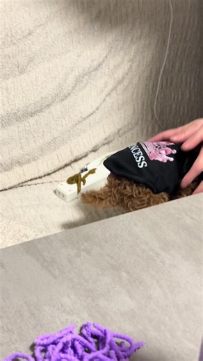 生後2ヶ月のトイプードルの成長記録