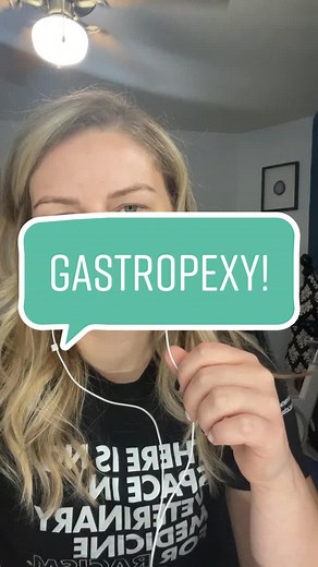Understanding Gastropexy in Veterinary Medicine