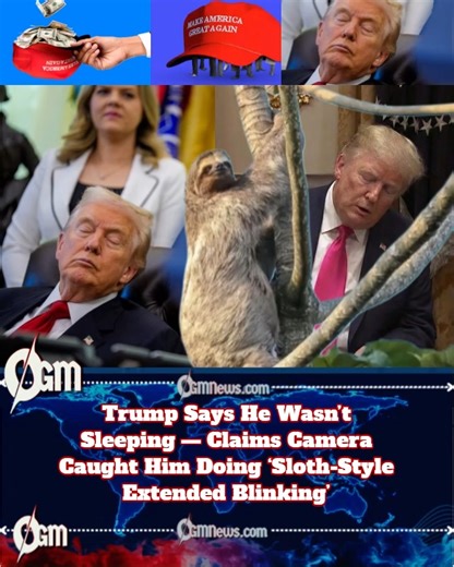 Trump Says He Wasn’t Sleeping — Claims ‘Camera Caught Me Doing Sloth-Style Extended Blinking’ During White House Meetings President Donald Trump has dismissed claims that he fell asleep during White House meetings, insisting the viral video merely captured him blinking — at a pace normally reserved for tree-dwelling mammals. Critics note the footage shows prolonged eye closure, head dips, and a man temporarily unavailable to consciousness. Scientists have not yet confirmed whether sloths are now