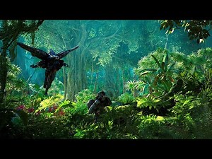 Houdini Tree Generator - Asset Tutorial how to use