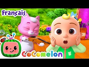 Hé Petit Chaton Le Chat | Chansons pour Bébés | CoComelon Le coin des Animaux de JJ - Comptines