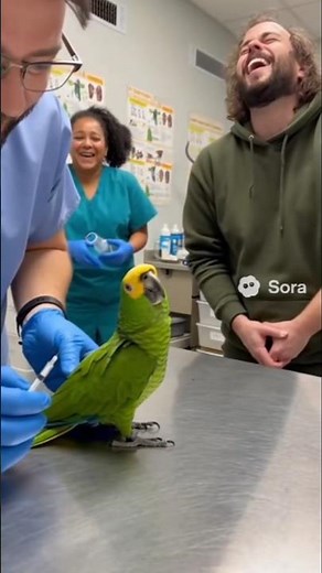 Funny Parrot at Doctor – Hilarious Talking Bird Moments with Injection #FunnyParrot #TalkingParrot