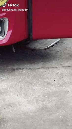 shallallahu ala muhammad sallallahu alaihi wasallam 🤍