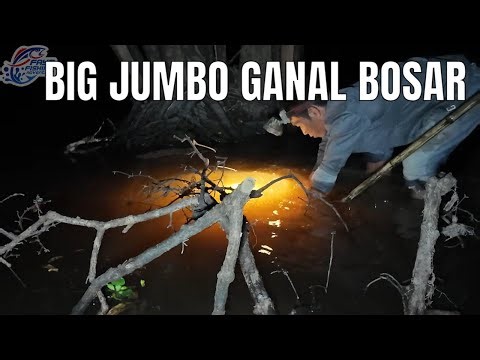 This Spot Is Strange! Small Fish Seem Extinct, All the Fish Are Giant