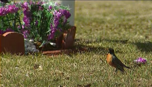 Forensic Files Season 3 Episode 01 Part01 : Without a Trace #forensicfiles | Forensic Files - Global Online