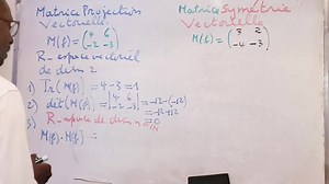 8.6K views · 310 reactions | Matrice d'une projection et d'une symétrie vectorielle.Tout ce qu'on doit savoir! Terminale(NS4) SVT SMP. | VMathsPhy | Facebook