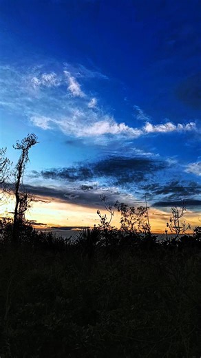 Never go back #cheater #cheatedonyou | Love Quotes