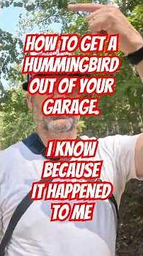 How To Get A Hummingbird Out Of Your Garage | #BigTopOutdoors