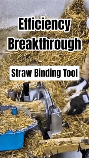 Work Efficiency Innovation: Automatic Straw Wreath Maker