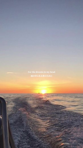 【Adventure - Cheat Codes🦚】#おすすめ #洋楽 #洋楽和訳 #歌詞 #歌詞動画 #fyp #cheatcodes #adventure