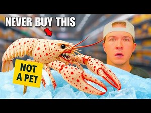 I Bought a Grocery Store Lobster to Keep as a Pet...