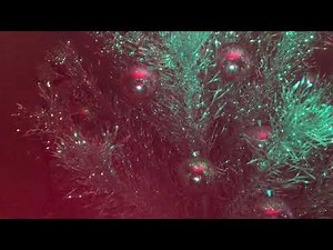 Color Wheel on Aluminum Christmas Tree