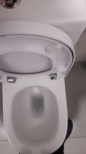 2018 inodoro roca meridian