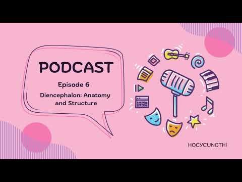 [Podcast] Ep 6 - Diencephalon: Anatomy and Structure