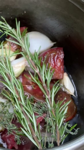 THE BEST SQUIRREL RECIPE IN THE WORLD? 🐿️👨‍🍳 #shorts