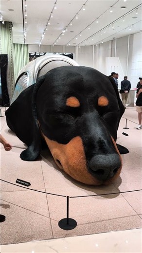 Sunshine: 13-Meter Breathing Animatronic Dachshund at Tamburins Bangkok & Seoul 🐶 [4K] #shorts